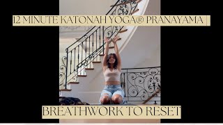 12 Minute Katonah Yoga® Pranayama  Breathwork to Reset [upl. by Aloel53]