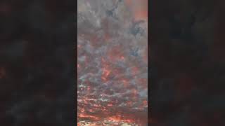 🕊️ sky arabic arabicmusic skymusic skyclouds clouds viralshort shorts [upl. by Wilkens130]