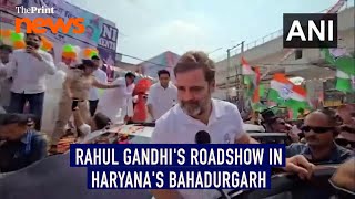 Congress MP Rahul Gandhi holds a roadshow in Haryanas Bahadurgarh [upl. by Ymac883]