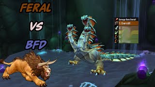 Feral Druid TOP DPS pov  Season of Discovery 39m 48s BFD 10M  World Of Warcraft  wowclassic [upl. by Hauck556]