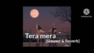 Tera mera pyar Lofi music x remix song x slowed amp reverb [upl. by Geehan707]