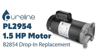 Pureline PL2954 B2854 Replacement Pool Pump Motor [upl. by Heimlich]