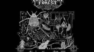 Carpathian Forest  Everyday I Must Suffer [upl. by Aiksa]