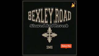 Bexley Road Slowed And Reverb Baggh E New Punjabi Song 2024 [upl. by Hong]