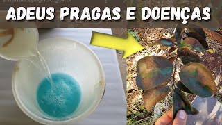 MIL VEZES MAIS PODEROSO ESSE COMPOSTO FUNCIONA COMO FERTILIZANTE FUNGICIDA E INSETICIDA ORGÂNICO [upl. by Lek]