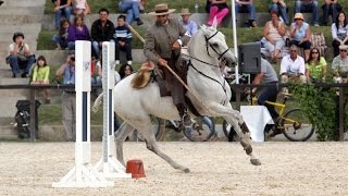 Working Equitation hits Australia  Pedro Neves Clinic Sneak Peek [upl. by Bysshe]