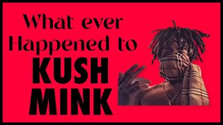 KUSH MINK  WHAT EVER HAPPENED TO KUSH MINK EP8 [upl. by Tunk]