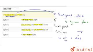 Parathormone controls   CLASS 12  CHEMICAL COORDINATION AND INTEGRATION  BIOLOGY  Doubtnu [upl. by Jemmy229]