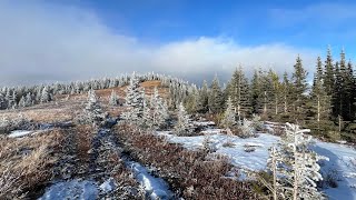 Jumpingpound Mountain and Cox Hill hike [upl. by Maxama]