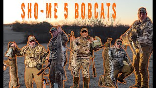 5 Bobcats one Episode Watch 4k bobcat predatorhunting predator coyote coyotehunting foxpro [upl. by Fabozzi22]