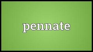 Pennate Meaning [upl. by Frost]