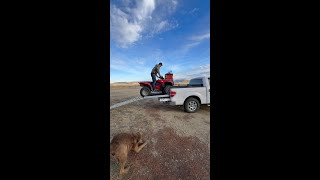 DECKED CargoGlide  Unloading an ATV [upl. by Halford924]