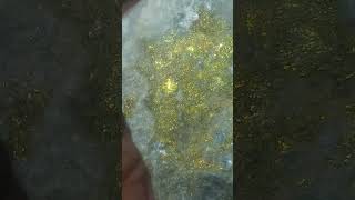 Gold with pyrite on quartz [upl. by Herring433]