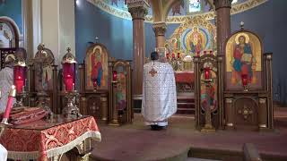 2nd Sunday of Lent Divine Liturgy of St Basil the Great Palamas Sunday [upl. by Lamprey]