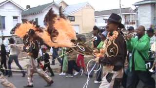 Treme Sidewalk Steppers 2010 Second Line feat New Birth Brass Band [upl. by Tiff]