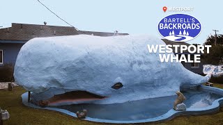 The tale of the Westport lawn whale  Bartells Backroads [upl. by Sille]