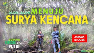 105 Jam  GUNUNG GEDE Via PUTRI LINTAS CIBODAS part 1 [upl. by Jodie820]