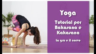 Yogapreparare raggiungere e avanzare in Bakasana e kakasana la gru e il corvocranecrow pose [upl. by Ilyse676]