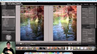 Tutorial Lightroom 010  Vistas [upl. by Eciram]