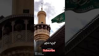 Ali Janam  Ali ki Badshahi hai  Mushkil Kusha yaali shia noha viralshorts shorts youtube [upl. by Lem]