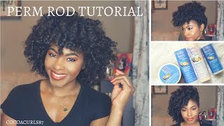 Perm Rod Tutorial  LottaBody Products  5 Styles to Try [upl. by Lem]