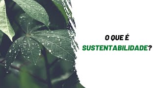 O QUE é SUSTENTABILIDADE [upl. by Roleat895]