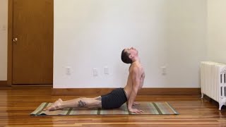 Ūrdhva Mukha Śvānāsana  Upward Facing Dog [upl. by Ohnuj]