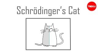 Schrödingers cat A thought experiment in quantum mechanics  Chad Orzel [upl. by Pell]