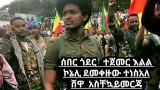 መጋቢት 102016 ሰበር ጎደር ተጀመር እልልድልተበሰር ኮኔልደመቀዘውዱተነስአለ ሸዋ አስቸኳይ መርጃ [upl. by Supmart]