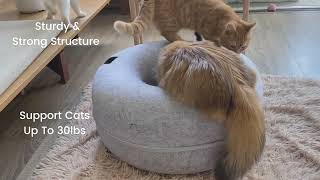 Review CATTASAURUS Peekaboo Cat Cave for Multiple Cats Large Cats amp For Cats Up to 30lbs [upl. by Aicxela]