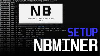 NBminer Setup and Configuration  NBminer v30 v38 [upl. by Aikehs]