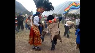 Ccapac Chuncho Huayllabamba HD Urubamba Cusco 2015 [upl. by Erdne]