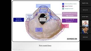 Sphenoid bone anatomy [upl. by Torbart]