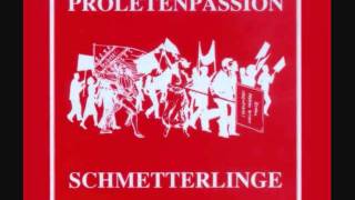 Die Schmetterlinge  Proletenpassion  109 Siegestanz [upl. by Nidnerb]