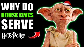 Are House Elves ENSLAVED by Santa  Why They Serve Wizardkind  Harry Potter Theory [upl. by Jane]