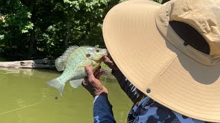 Good Day Fishing At Lake AustellLake Dunn With Fishboy [upl. by Yesteb249]