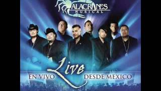 Alacranes Musical quotPor Amarte Asiquot En Vivo Desde Mexico [upl. by Susana]