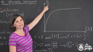 Vitesse dune réaction enzymatique  chaîne quotles bons profsquot [upl. by Ioj]