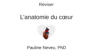 Physiologie CardioVasculaire – Réviser l’anatomie du cœur 001  Dr Pauline Neveu [upl. by Tyler622]