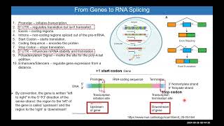 Module 7 NCBI Ensembl GenomeBrowsers PrimerDesign HSS3109 [upl. by Emmy]