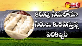 Sericulture  Sericulture Farming  Sericulture Process  Sakshi Sagubadi  Sakshi TV [upl. by Gerek135]