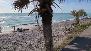 Caspersen Beach Walk [upl. by Acirne859]