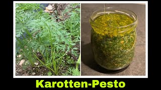 Karottenkraut Pesto  Karottengrün Rezept  Karottenpesto  Selbstversorgung Karotten [upl. by James]