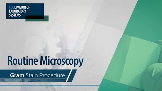 Routine Microscopy – Gram Stain Procedure [upl. by Aihsyt144]