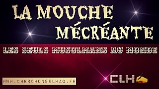 LA MOUCHE MÉCRÉANTE [upl. by Ahsinyt]