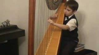 Handel  Concert for Harp B dur 1st part Andrushchenko [upl. by Sherrod]