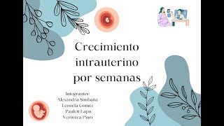 Crecimiento intrauterino por semanas [upl. by Filbert]