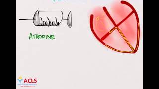 PALS Medications Part One by ACLS Certification Institute [upl. by Ardnos]