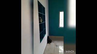 fosroc wall guard paint application on interior  exterior walls [upl. by Monto683]