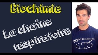 Cours de biochimie la chaîne respiratoire [upl. by Llerrot506]